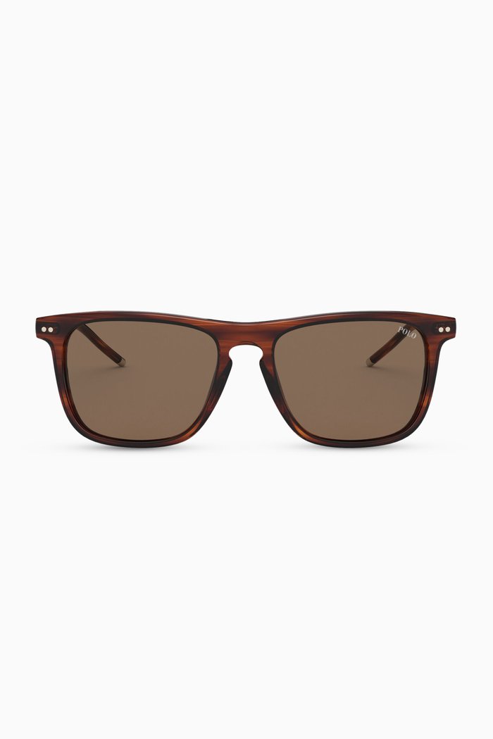 

Wayfarer Sunglasses in Acetate, Brown