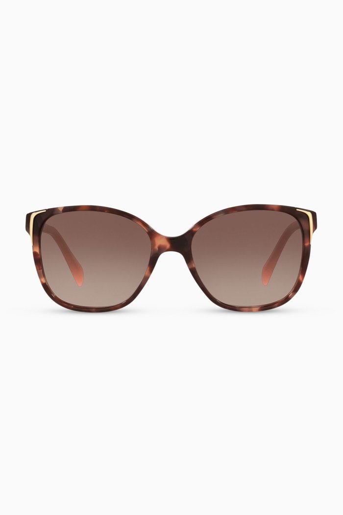 

Cat-Eye Sunglasses in Acetate, Brown