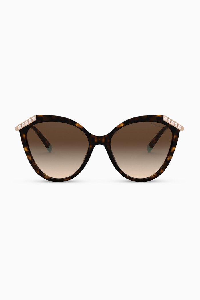 

Cat-eye Sunglasses in Acetate, Brown