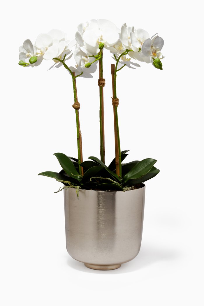 Large Artificial Orchid Arrangement with Metallic Silver Pot, White