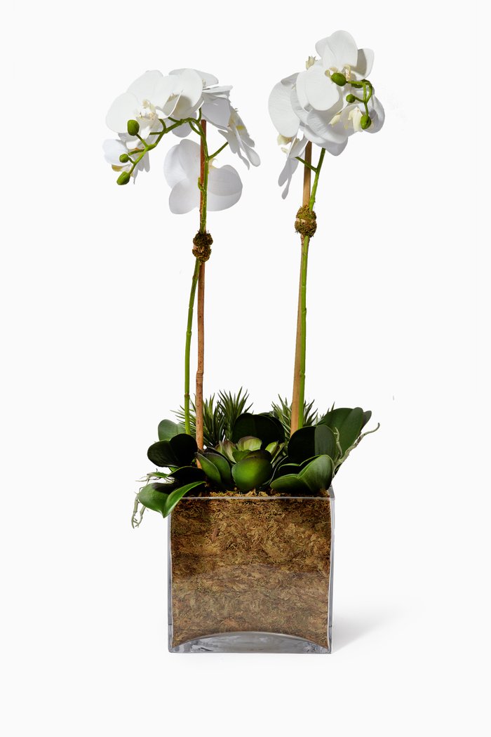 

Large Artificial Orchid & Succulent Arrangement with Glass Pot, White
