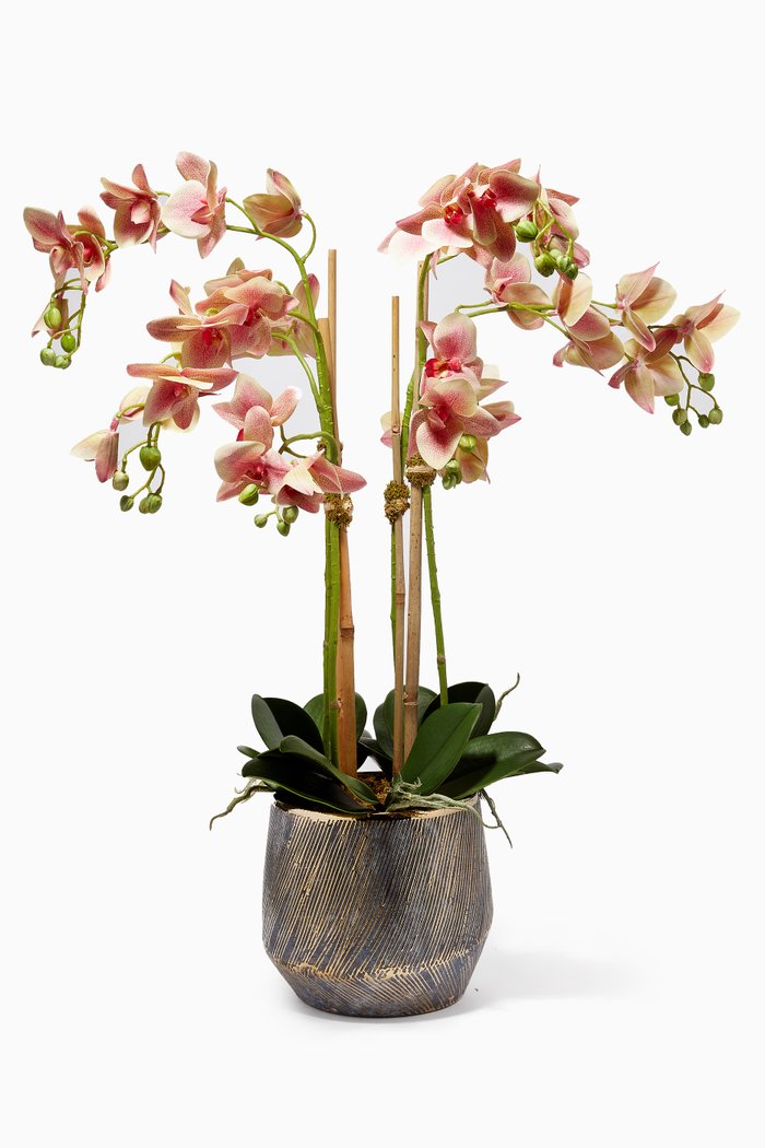 

Large Artificial Orchid Arrangement with Grey-gold Pot, Pink