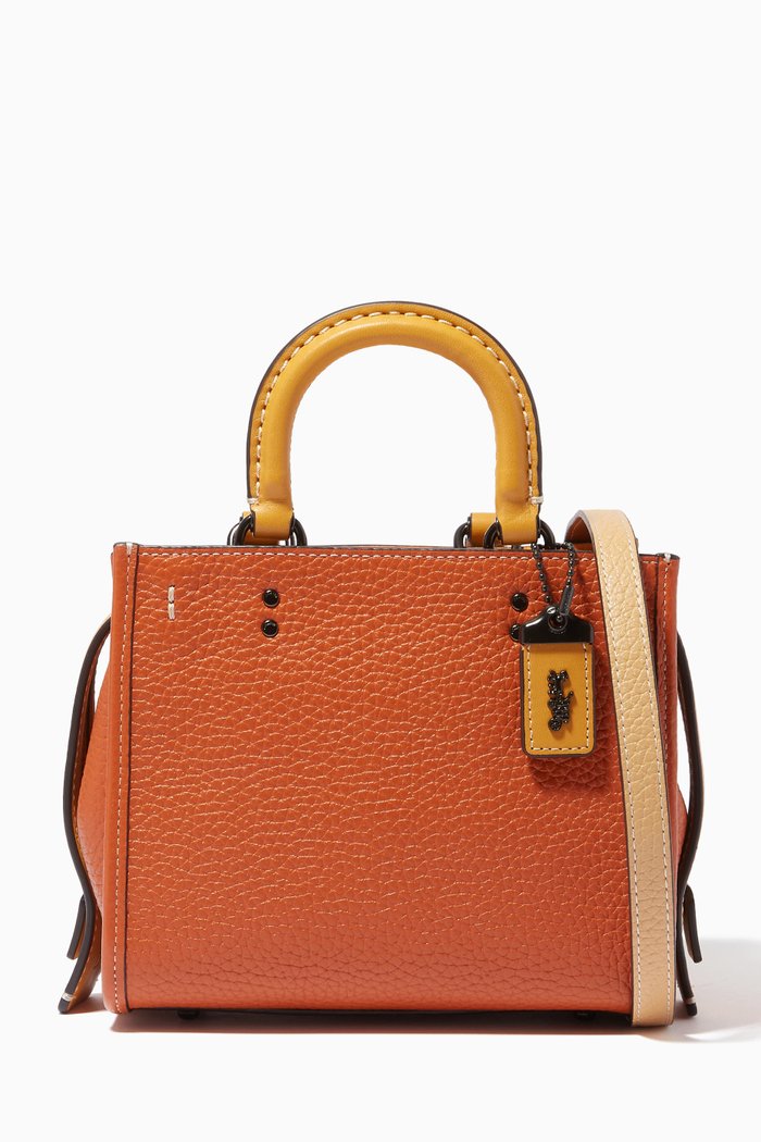 

Rogue 17 Bag in Colorblock Leather, Red