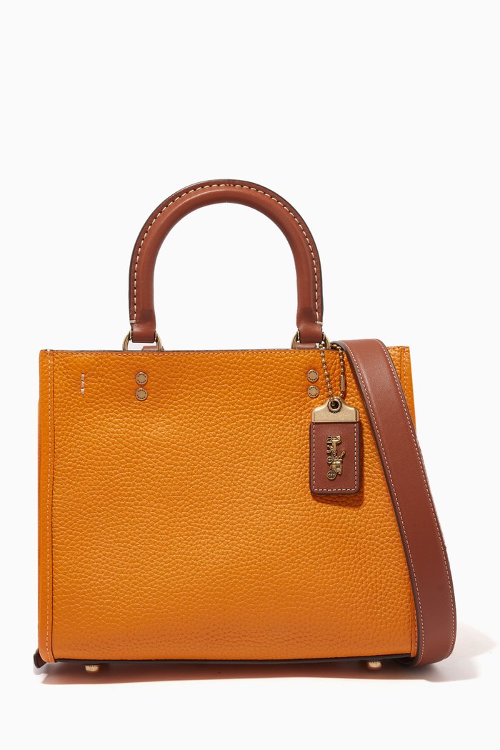 

Rogue 25 Bag in Colorblock Leather, Yellow