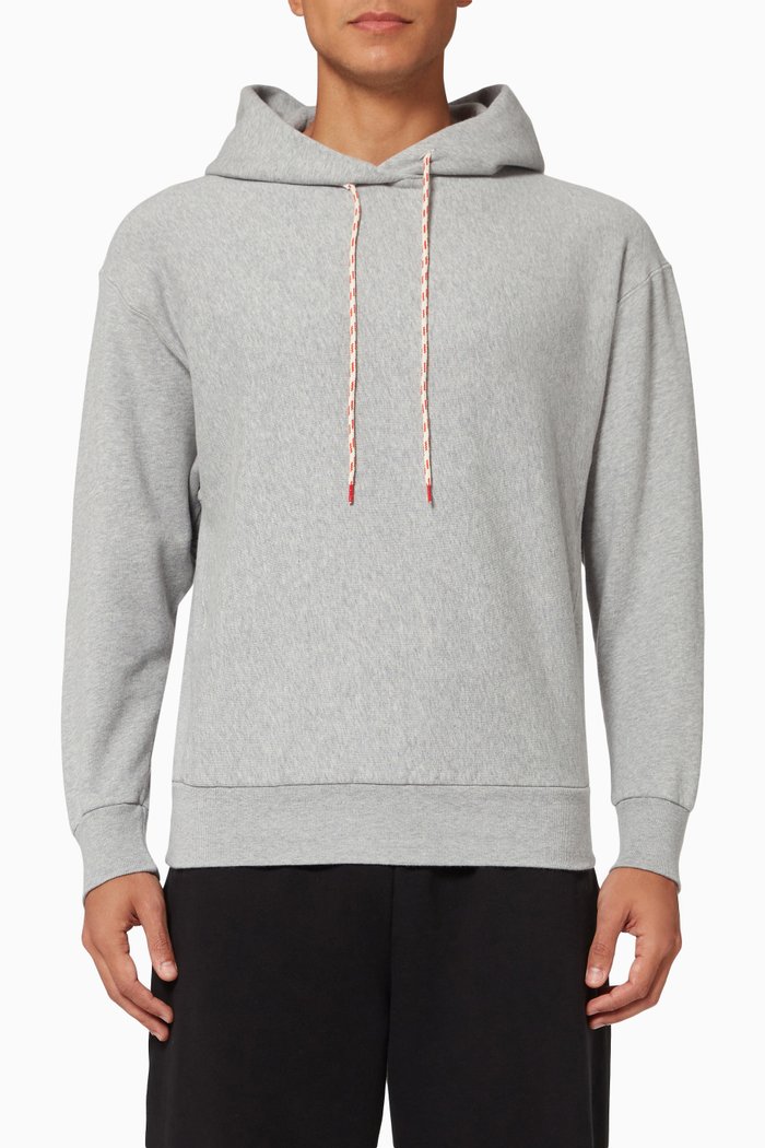 

Premium Temple Hoodie in Cotton Fleece, Grey