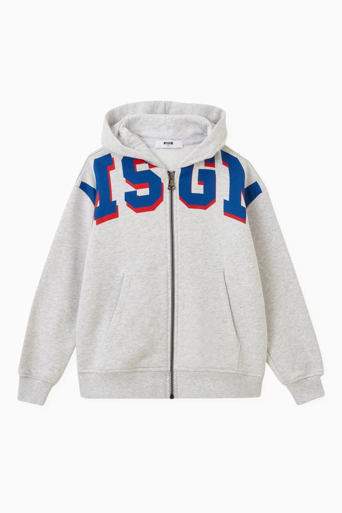 Big Logo Zip-up Hoodie in Cotton, Grey