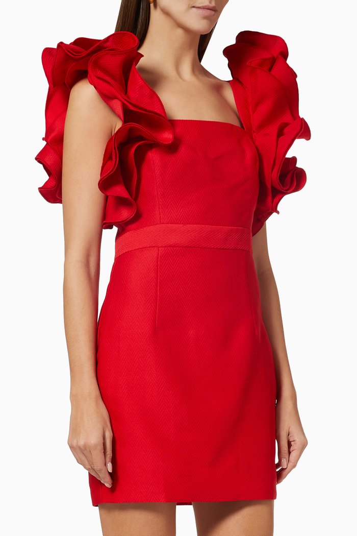 

The Raw Vision Mini Dress, Red