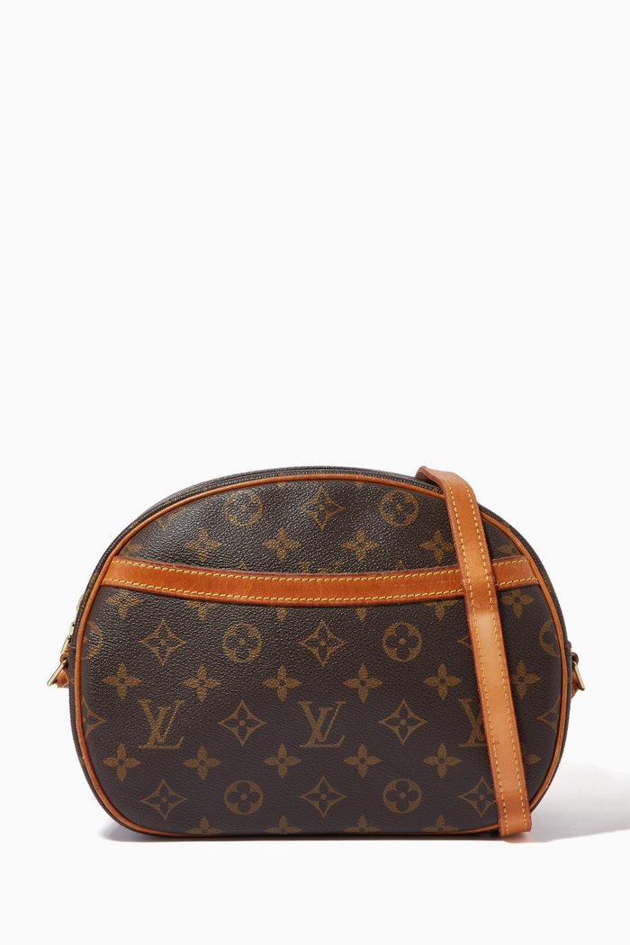 

Blois Shoulder Bag in Monogram Canvas, Brown