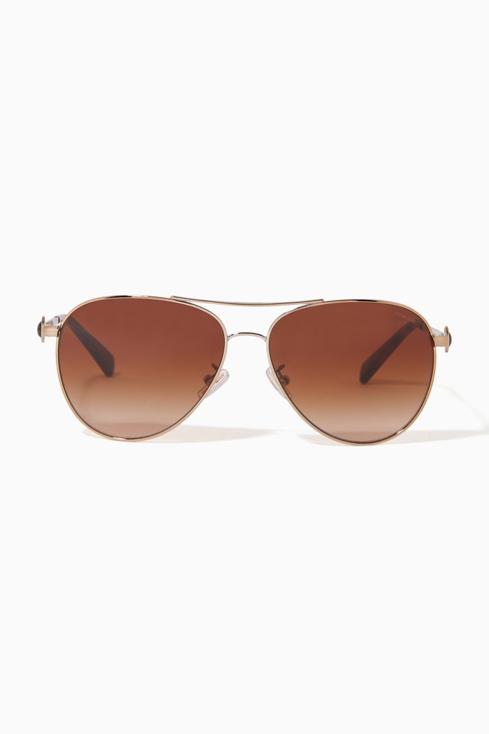 

Aviator Sunglasses in Metal, Gold