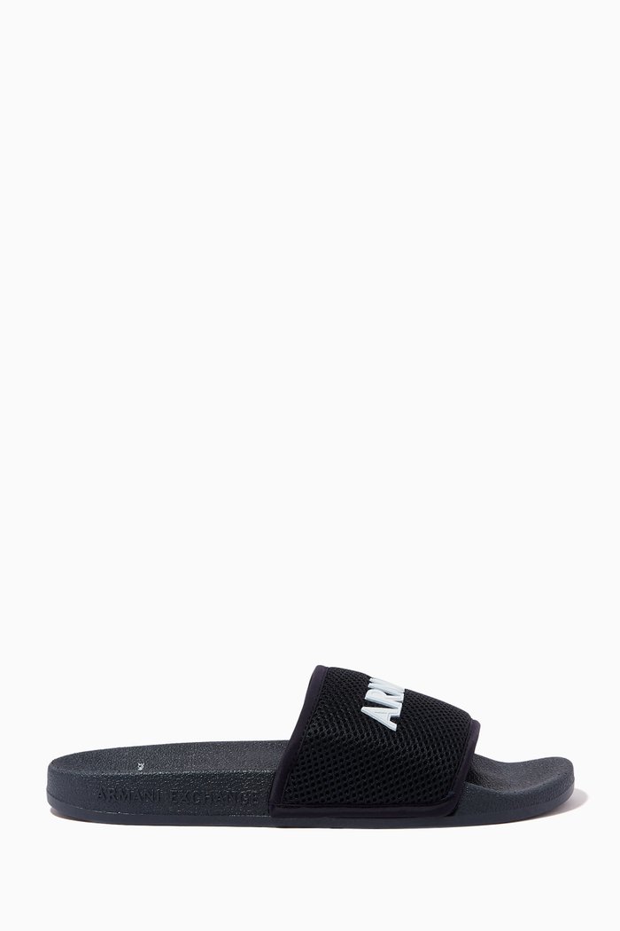 

Logo Slides in Mesh, Blue