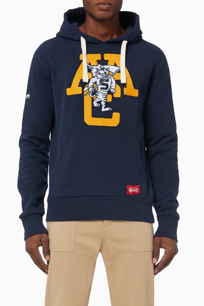 

AAC Graphic Hoodie in Cotton Terry, Blue