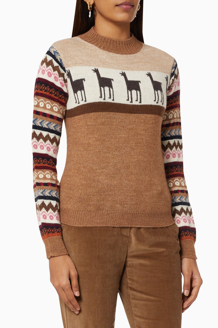

Hot Sweater in Wool & Alpaca Yarn, Multicolour