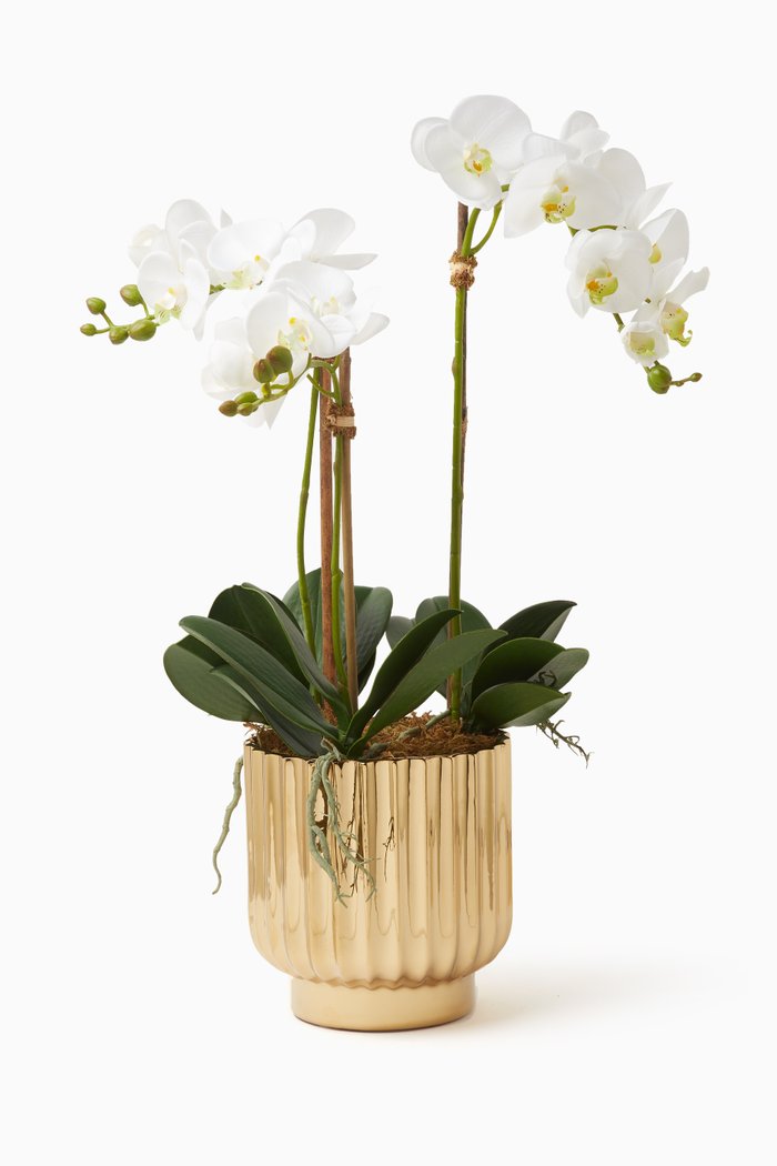 

Artificial Orchid Large Arrangement in Golden Pot, White