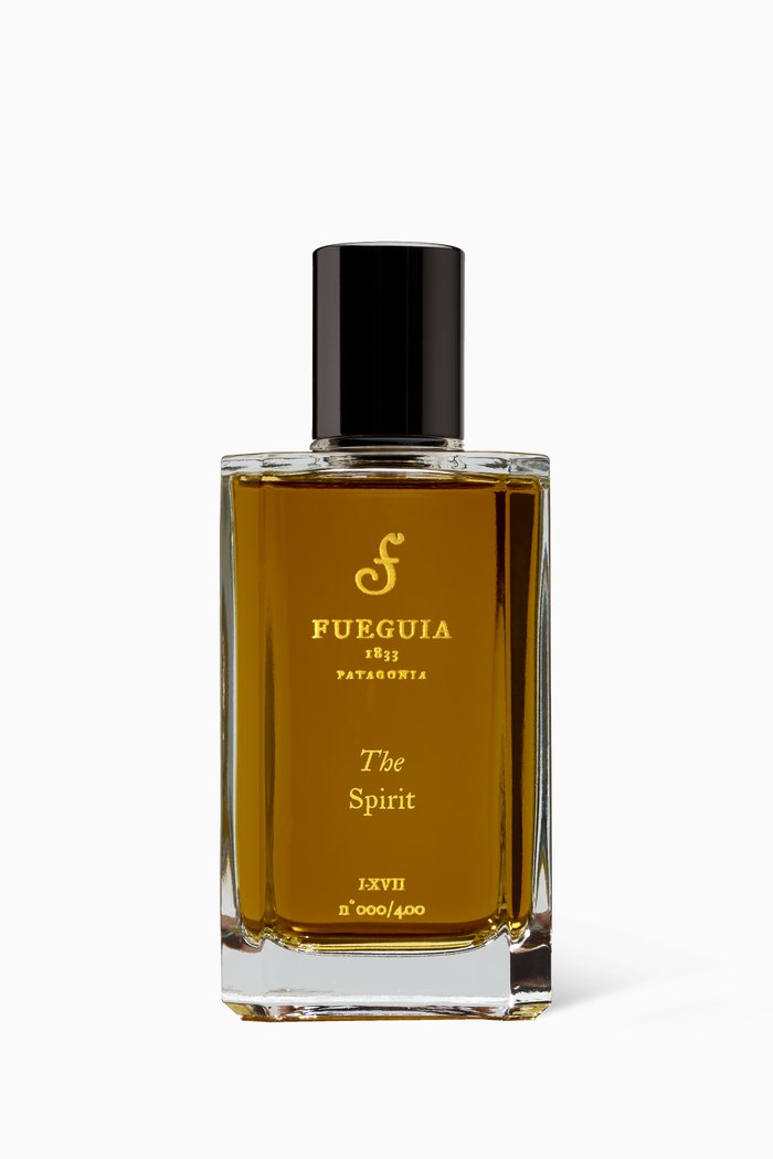 

The Spirit Eau de Parfum, 100ml, Colourless