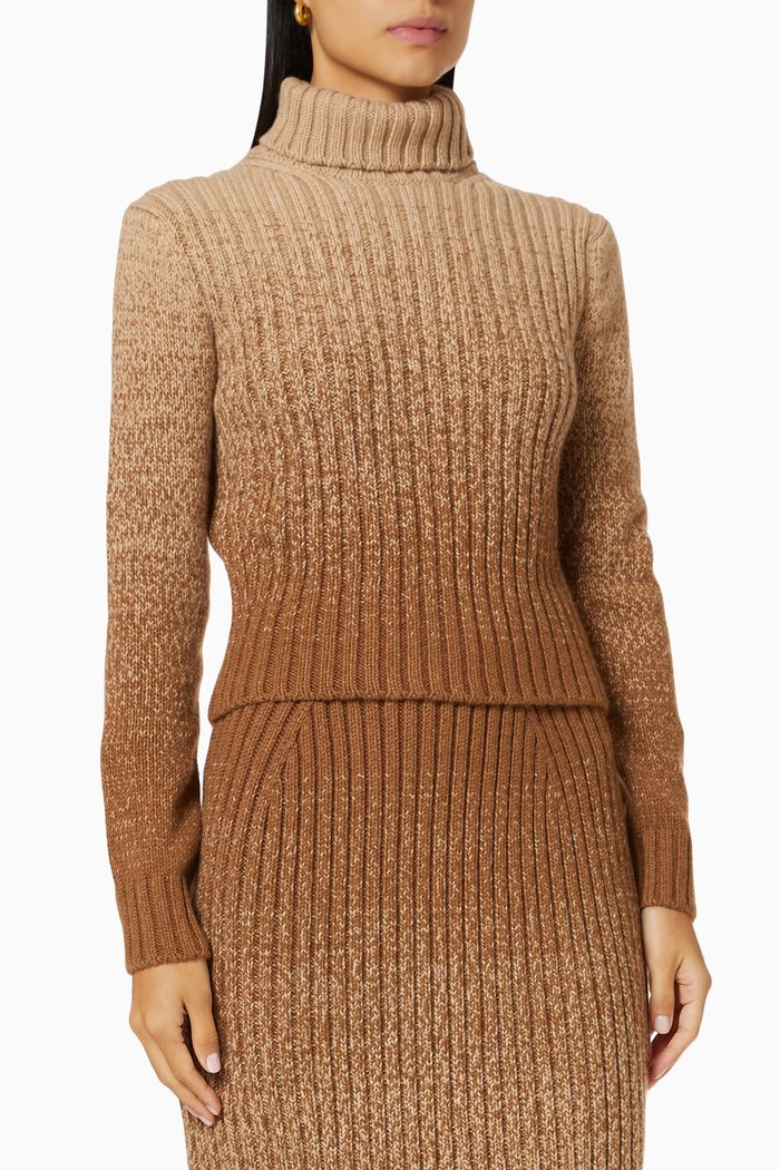 

San Babila Turtleneck Sweater in Cashmere, Brown