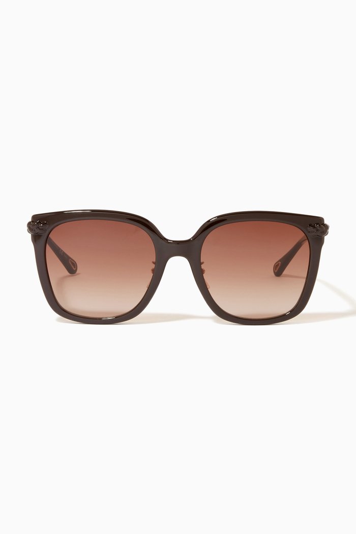 Square Sunglasses in Acetate, Brown