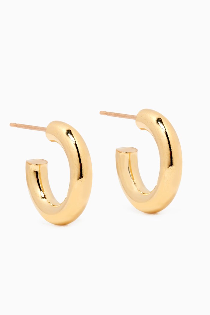 

Mini Hoop Earrings in 14kt Gold Plating