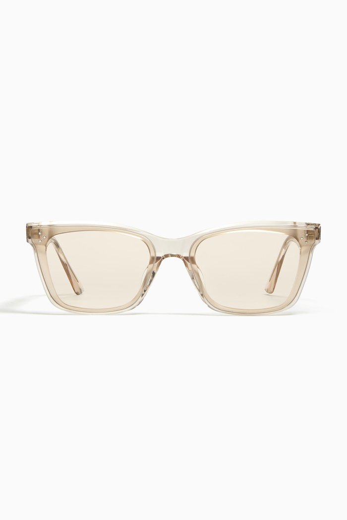 

Solbei BRC2 Sunglasses, Brown