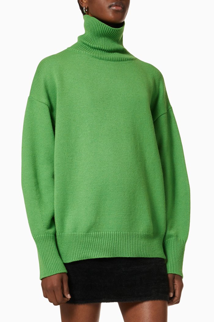 Joya Roll Neck Sweater in Wool, Green