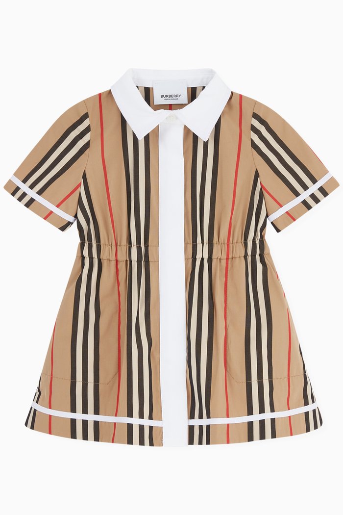 Alexandra Pinstripe Shirt Dress in Cotton, Neutral