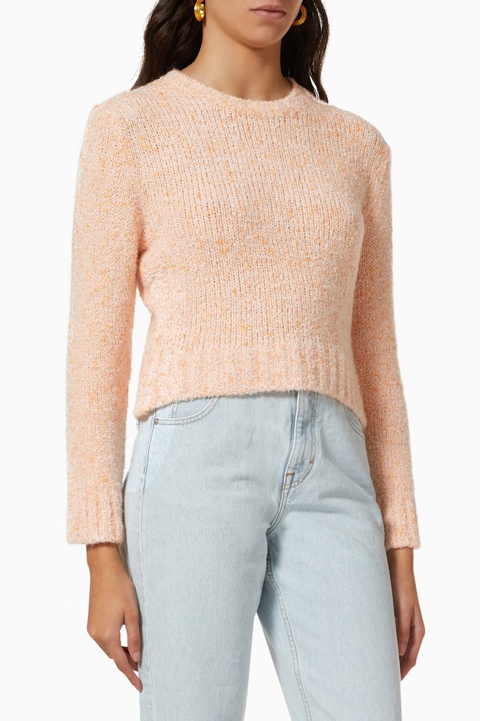 

Micoly Crewneck Sweater in Knit, Orange