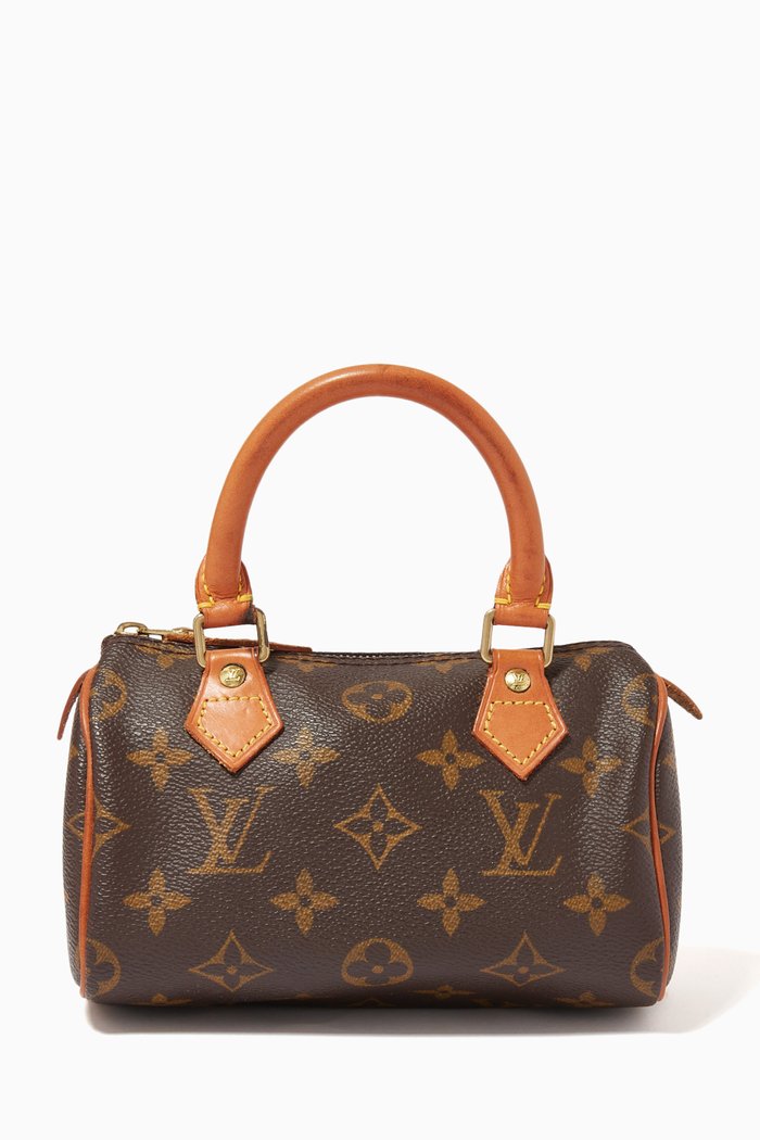 

Mini Speedy Bag in Monogram Canvas, Brown