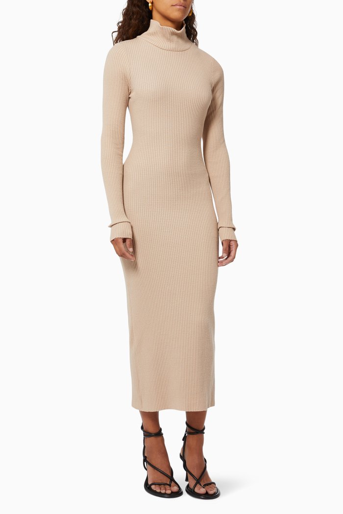 

Turtleneck Midi Dress in Jumbo Stark Thermal, Neutral