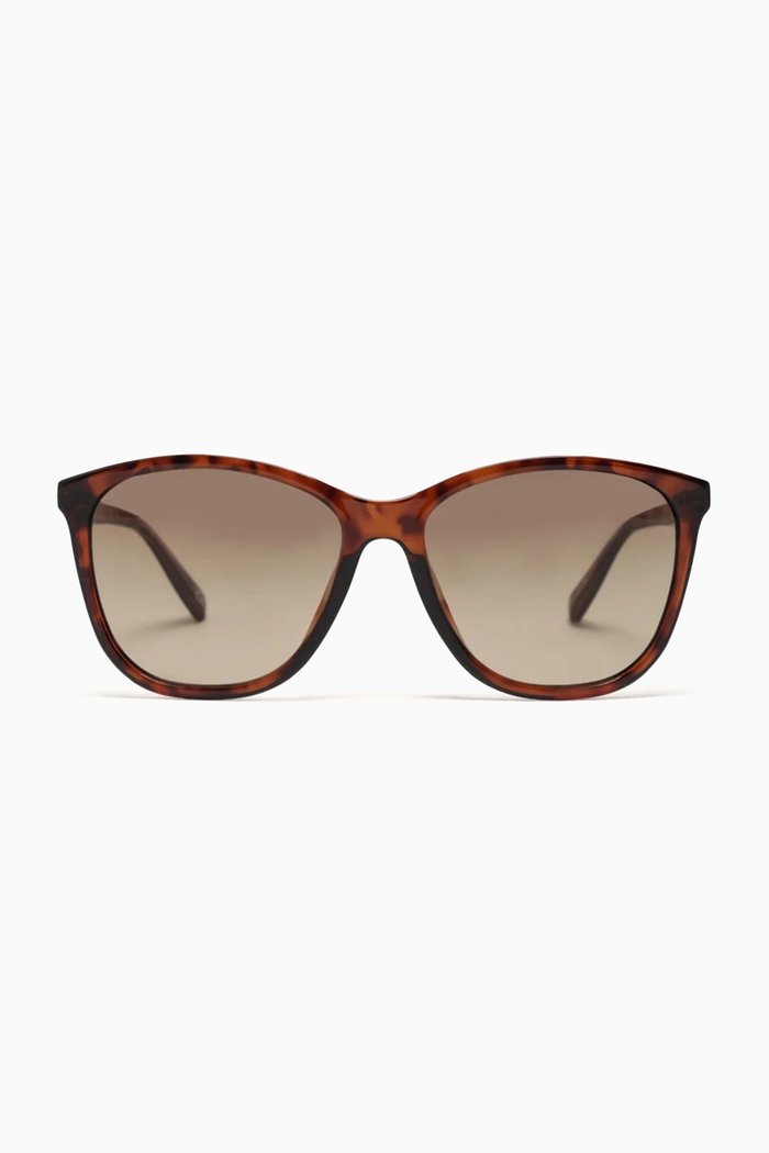 Entitlement Sunglasses, Brown