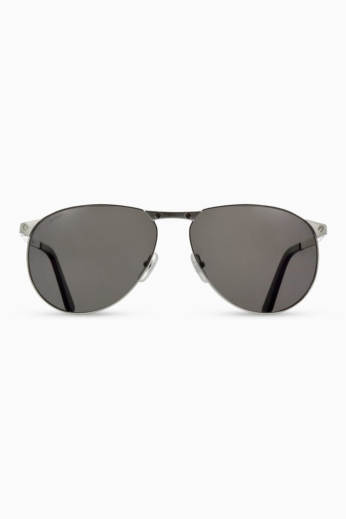 

Pilot Sunglasses in Metal, Silver