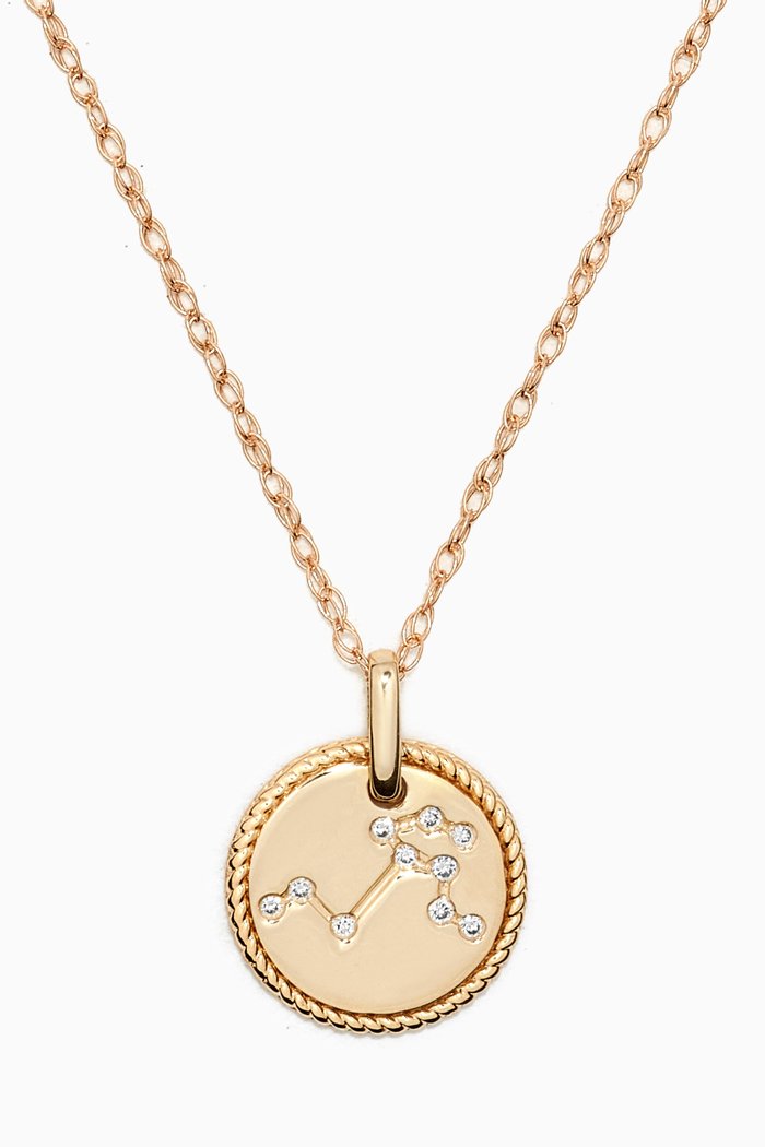Mini Leo Medallion Necklace in 10kt Yellow Gold