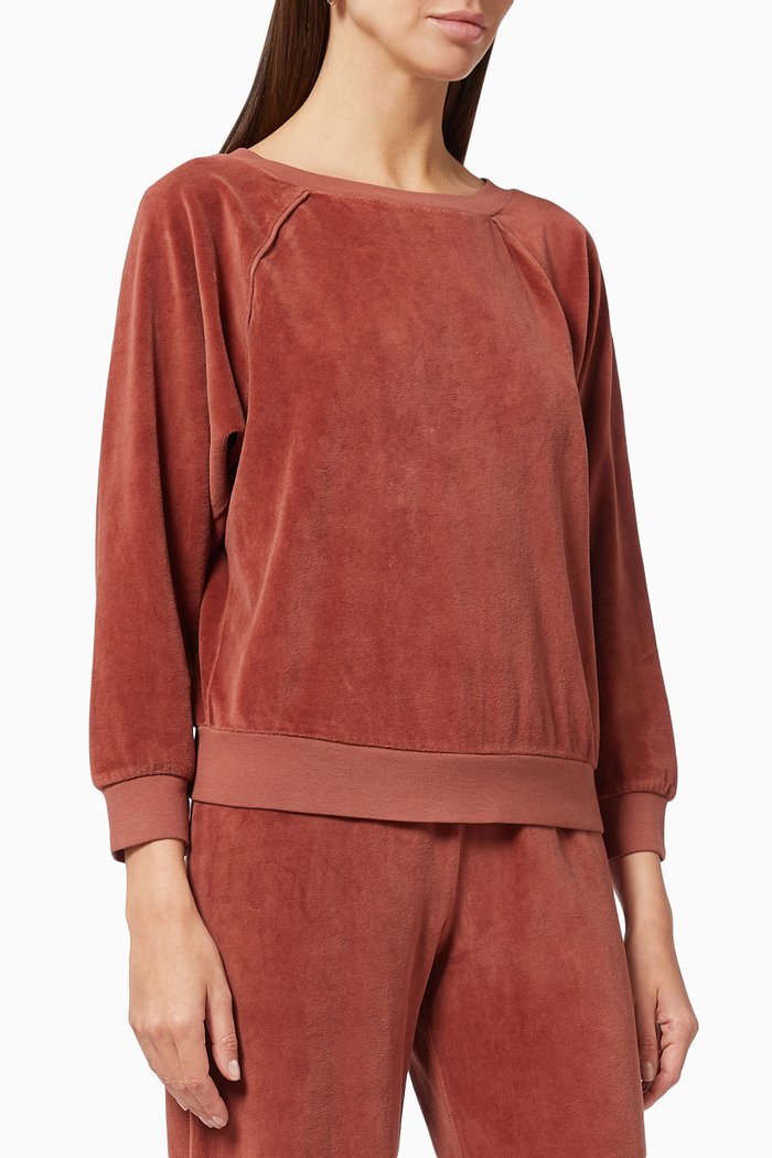 

Saba Raglan Top in Velour, Brown