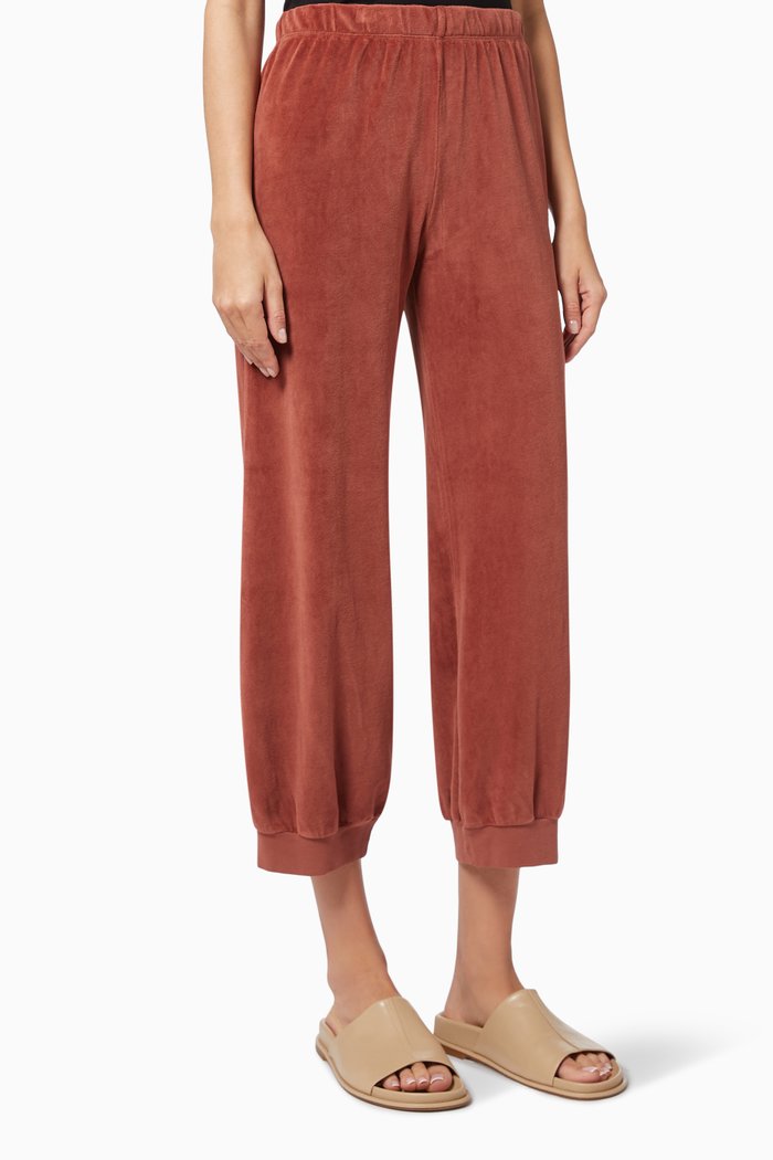 

Tosk High Waist Harem Pants in Velour, Brown