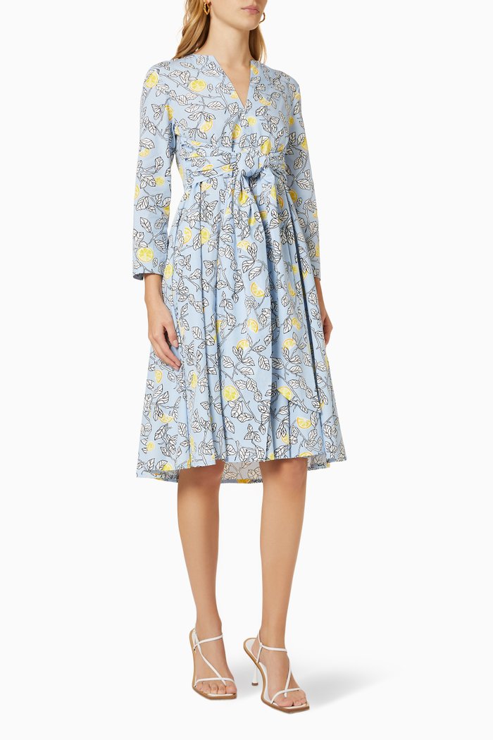 

Rialto Midi Dress in Cotton Poplin, Blue