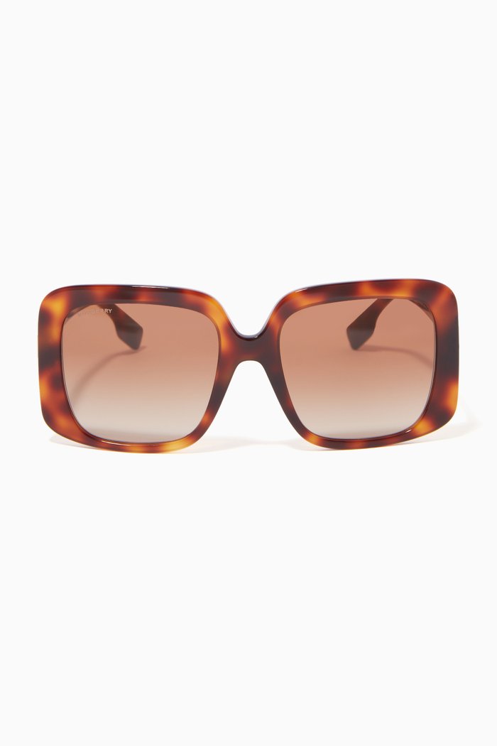 

Oversized D-frame Sunglasses in Acetate, Brown