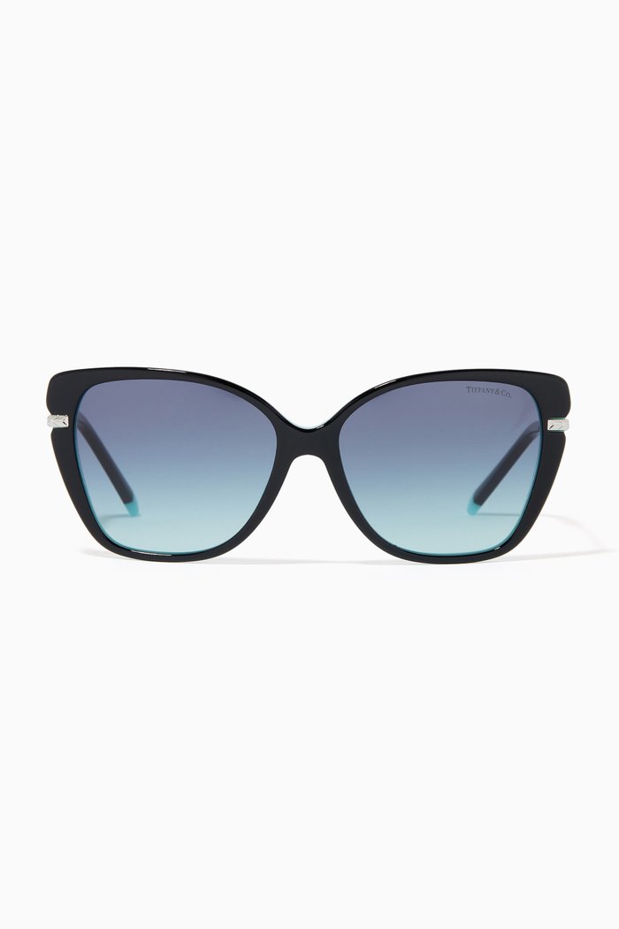 

Cat Eye Sunglasses in Acetate & Metal, Silver