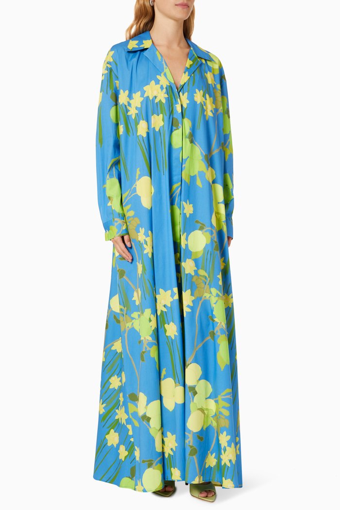 

Gregory Shirt Dress in Cotton, Blue