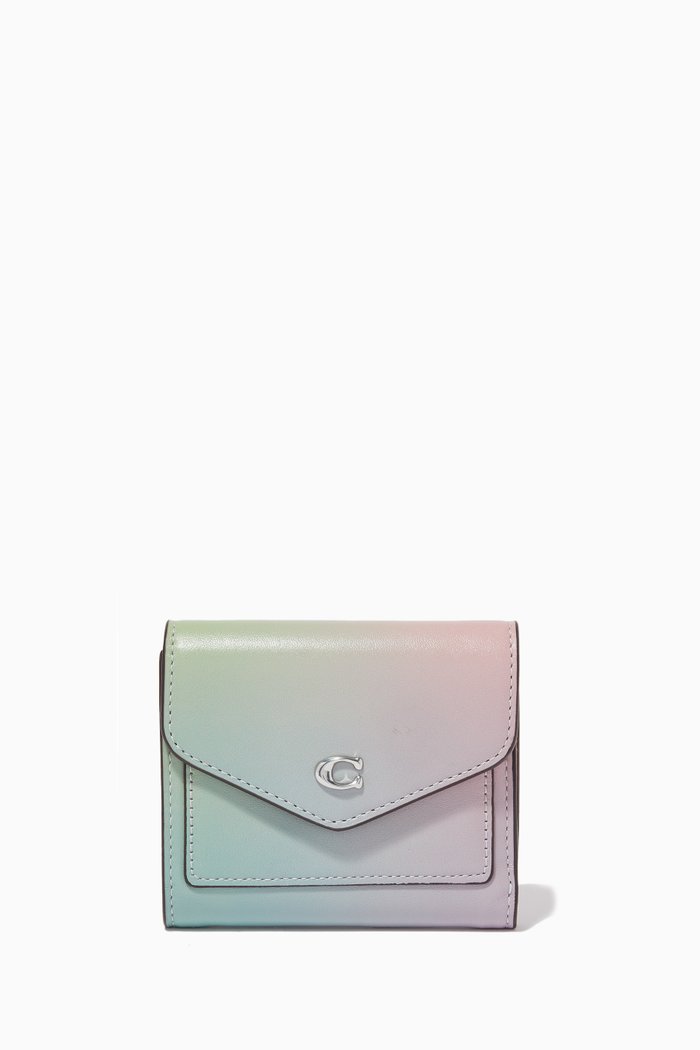 

Small Wyn Wallet in Ombre Leather, Green