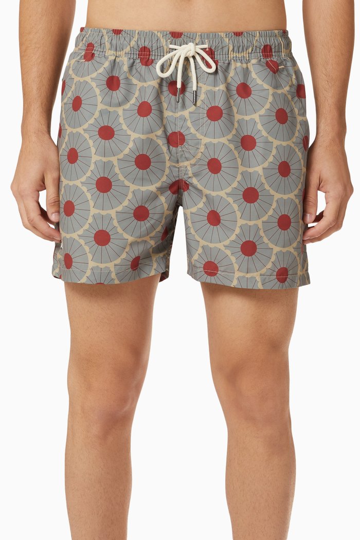 

Gatsby Swim Shorts, Multicolour