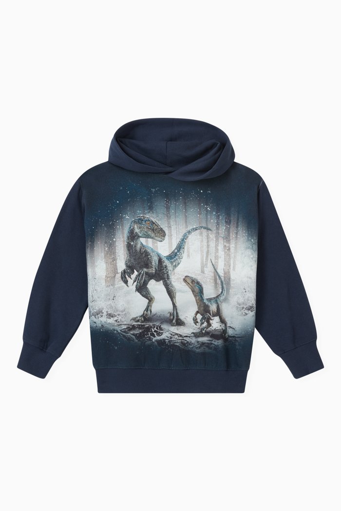 

Jurassic World Hoodie in Organic Cotton, Blue