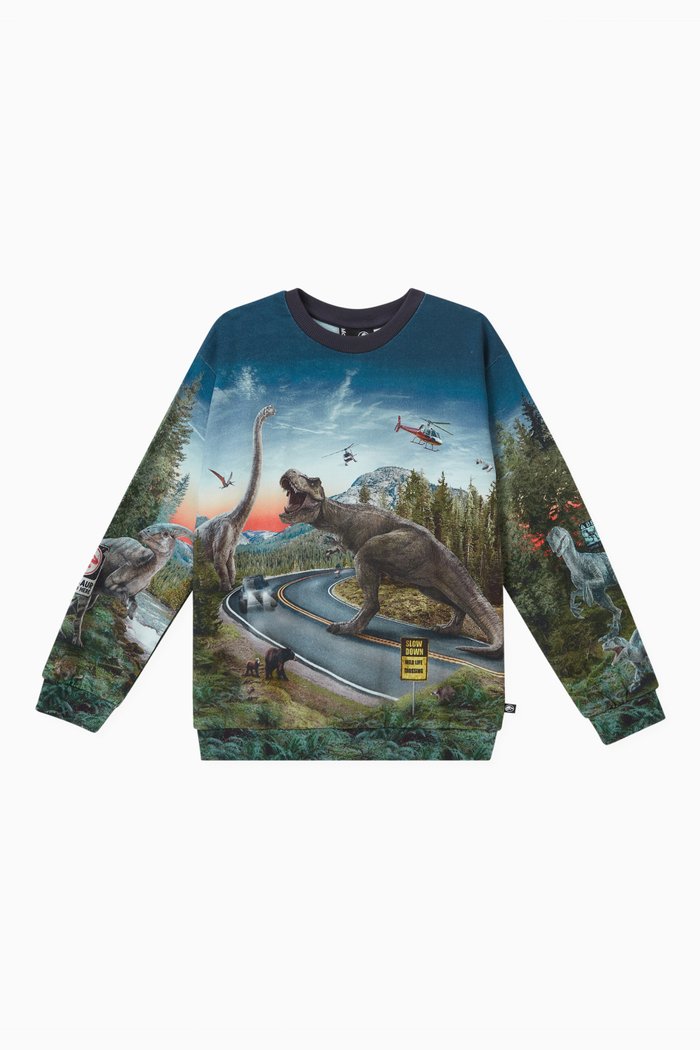 

Dinosaur Print Sweatshirt in Organic Cotton, Blue