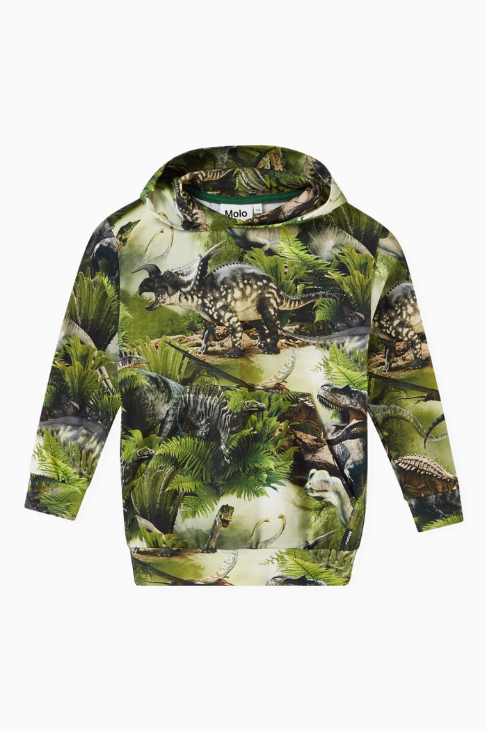 

Dinosaur Print Hoodie in Cotton, Green