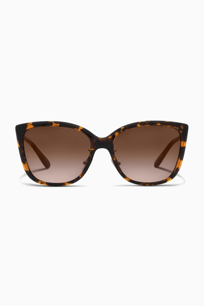 

Cat Eye Sunglasses in Acetate, Green