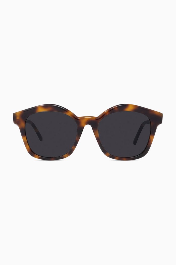 

Small Browline Sunglasses in Acetate, Brown