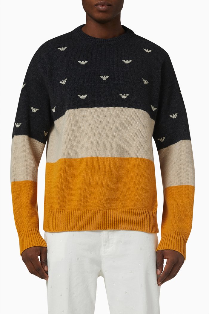 EArctic Capsule Eagle Logo Sweater in Knit, Multicolour