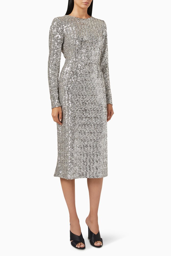 

Zebra Dress in Sequinned Tulle, Silver