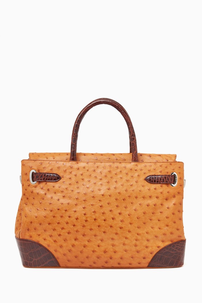

Darcy Tote Bag in Ostrich & Crocodile Leather, Brown