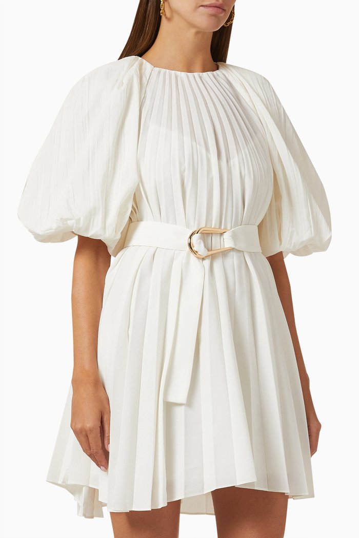 

Hudson Dress in Chiffon, Neutral