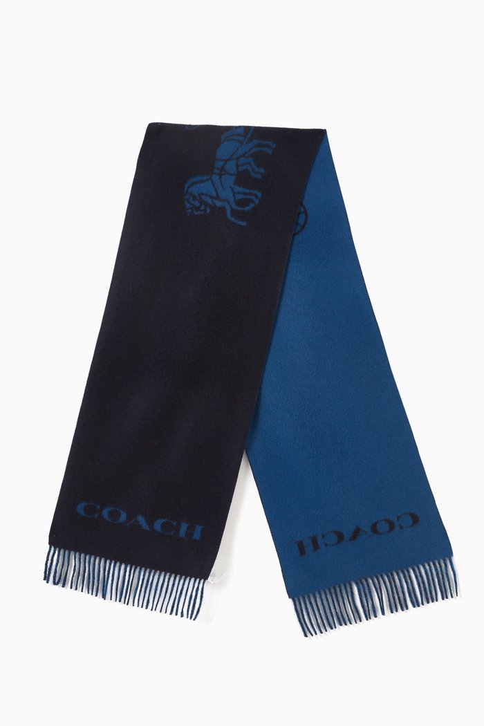 

Horse & Carriage-motif Muffler in Cashmere, Blue