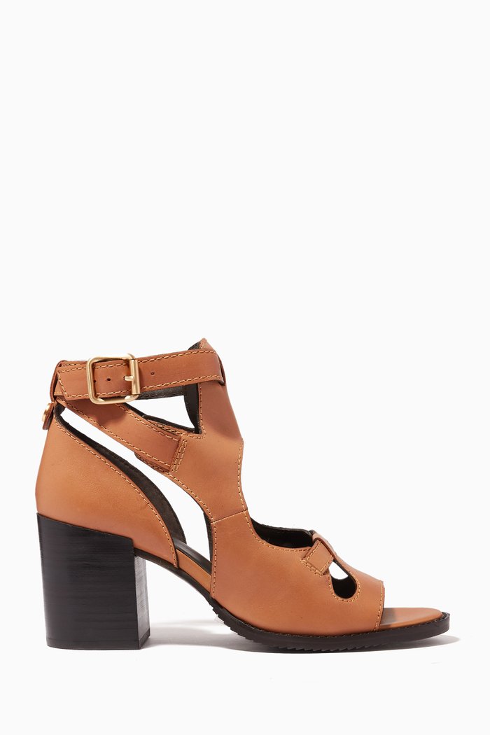 

Jaylei Ankle Sandals in Leather, Brown