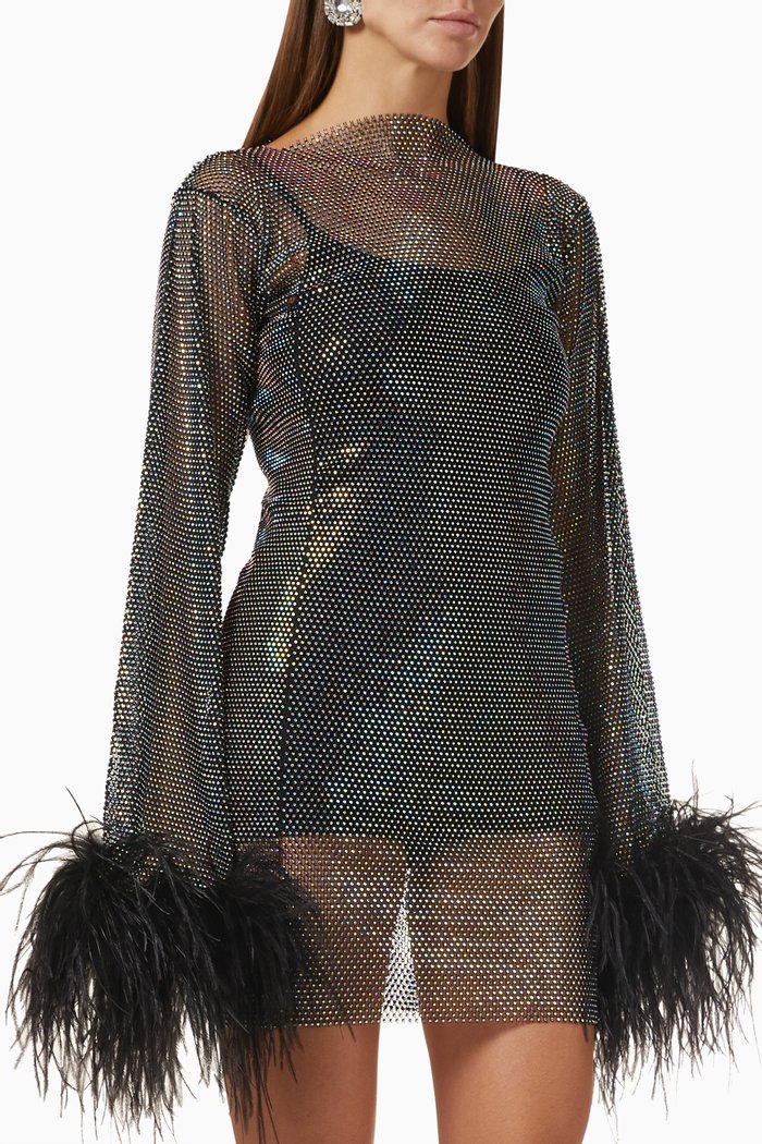 

Feathers Mini Dress in Sheer Mesh, Black